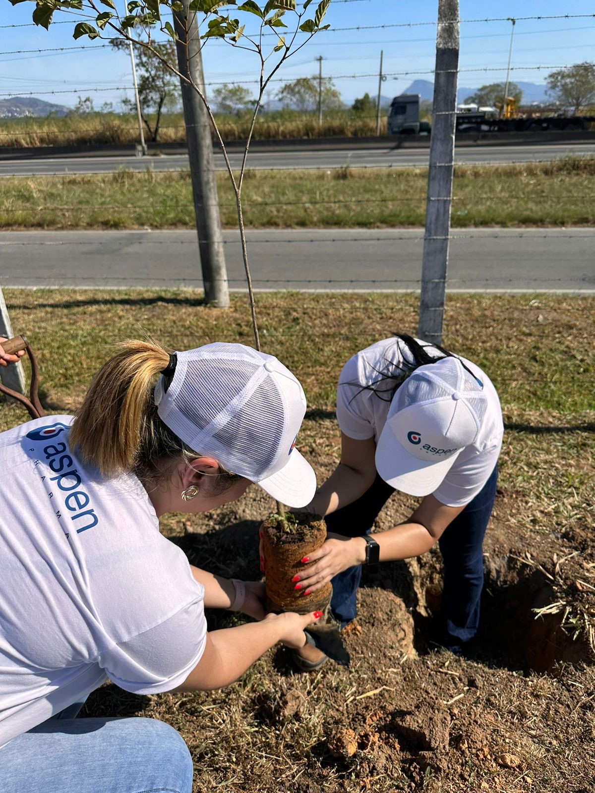 AspenPharmaBrazil_2023_seedingplanting_10-1200x1600