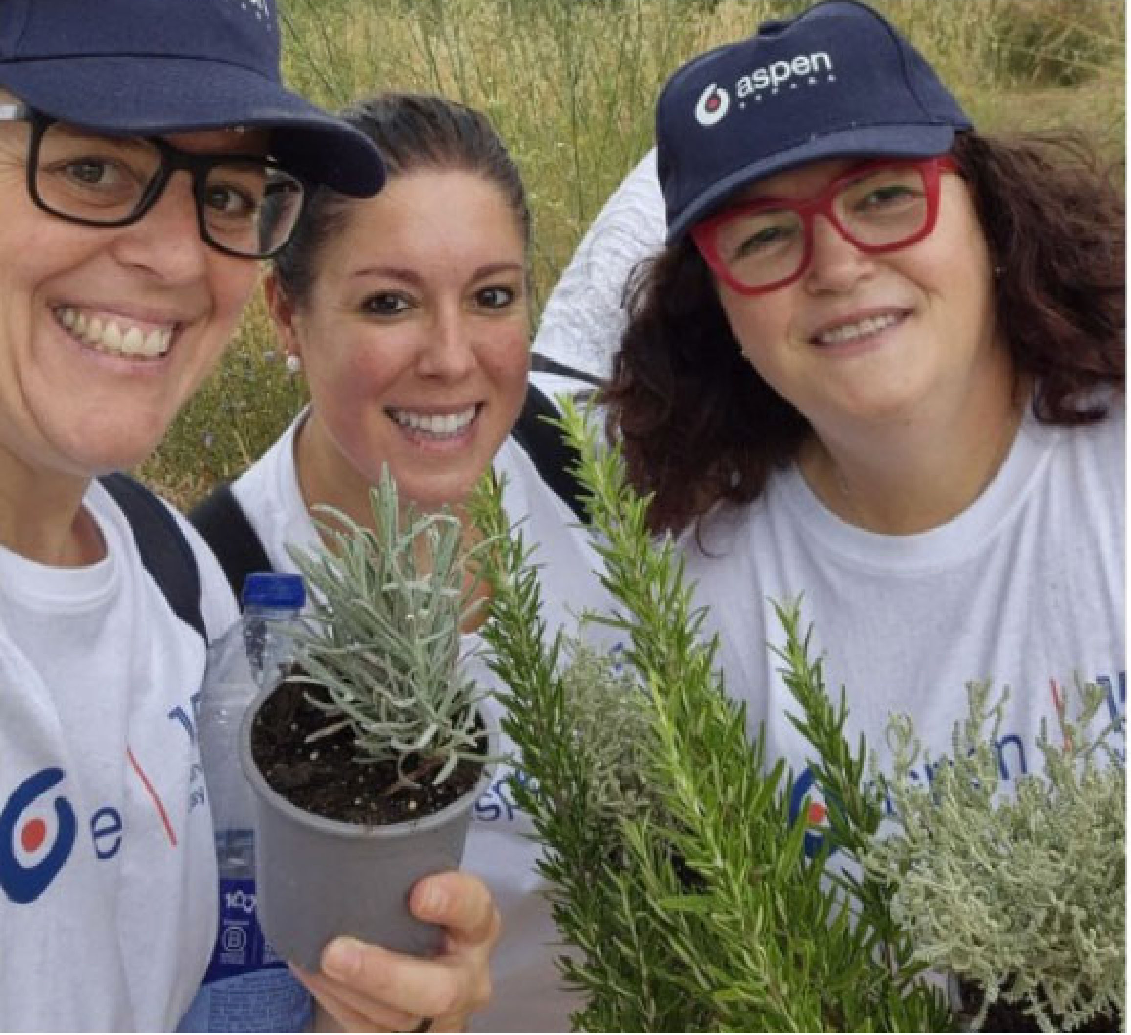 Aspen-Spain 2 - Aspen-Spain 2 -